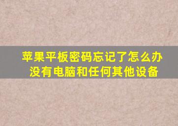 苹果平板密码忘记了怎么办 没有电脑和任何其他设备